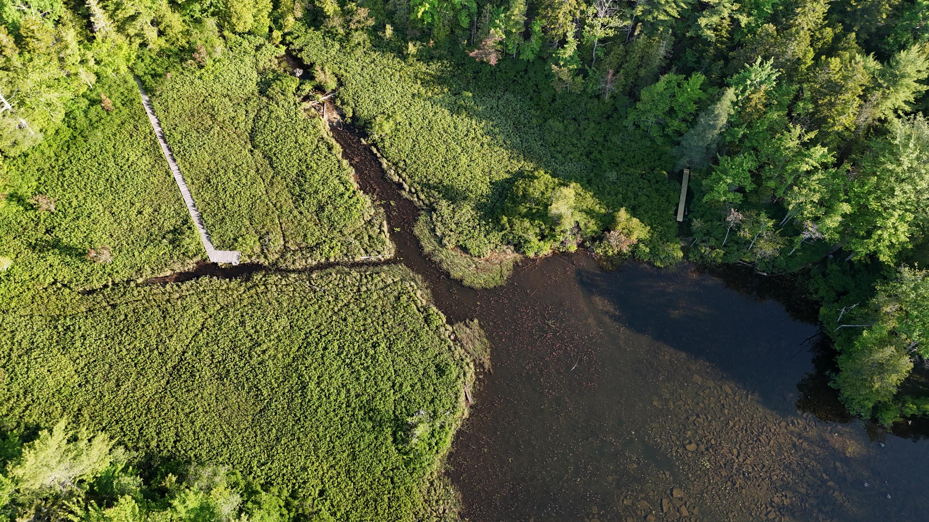 0 Red Spruce Way Mount Mount Desert, ME 04660 - Photo 18 of 18 DJI_20250621065729_0010_D