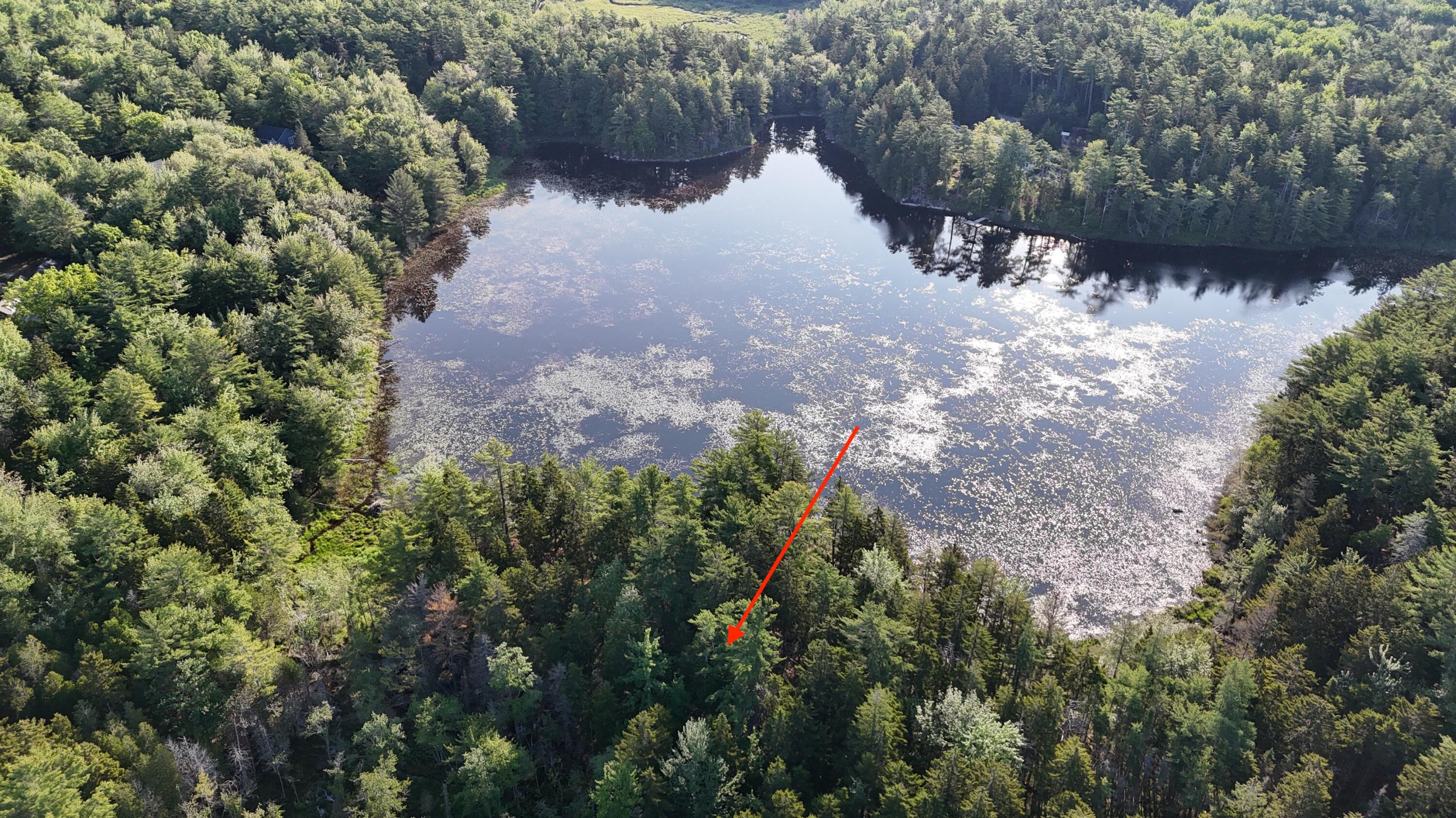 0 Red Spruce Way Mount Mount Desert, ME 04660 - Photo 2 of 18 DJI_20250621070237_0029_D