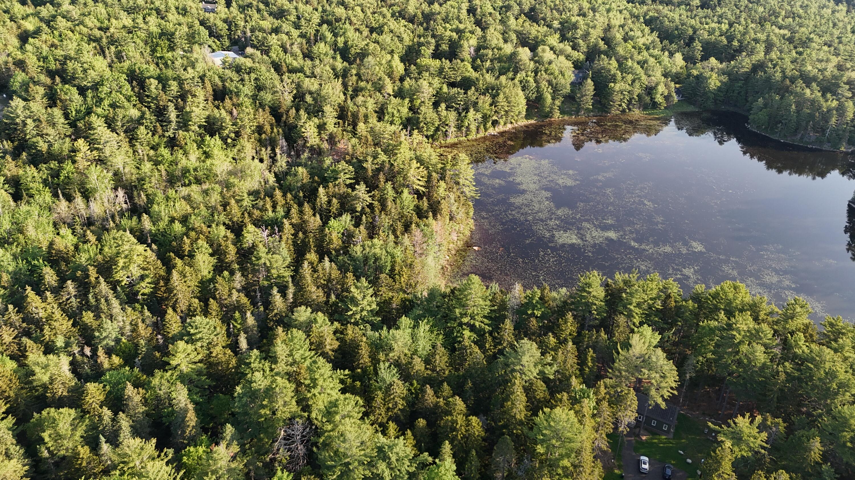 0 Red Spruce Way Mount Mount Desert, ME 04660 - Photo 6 of 18 DJI_20250621065549_0002_D