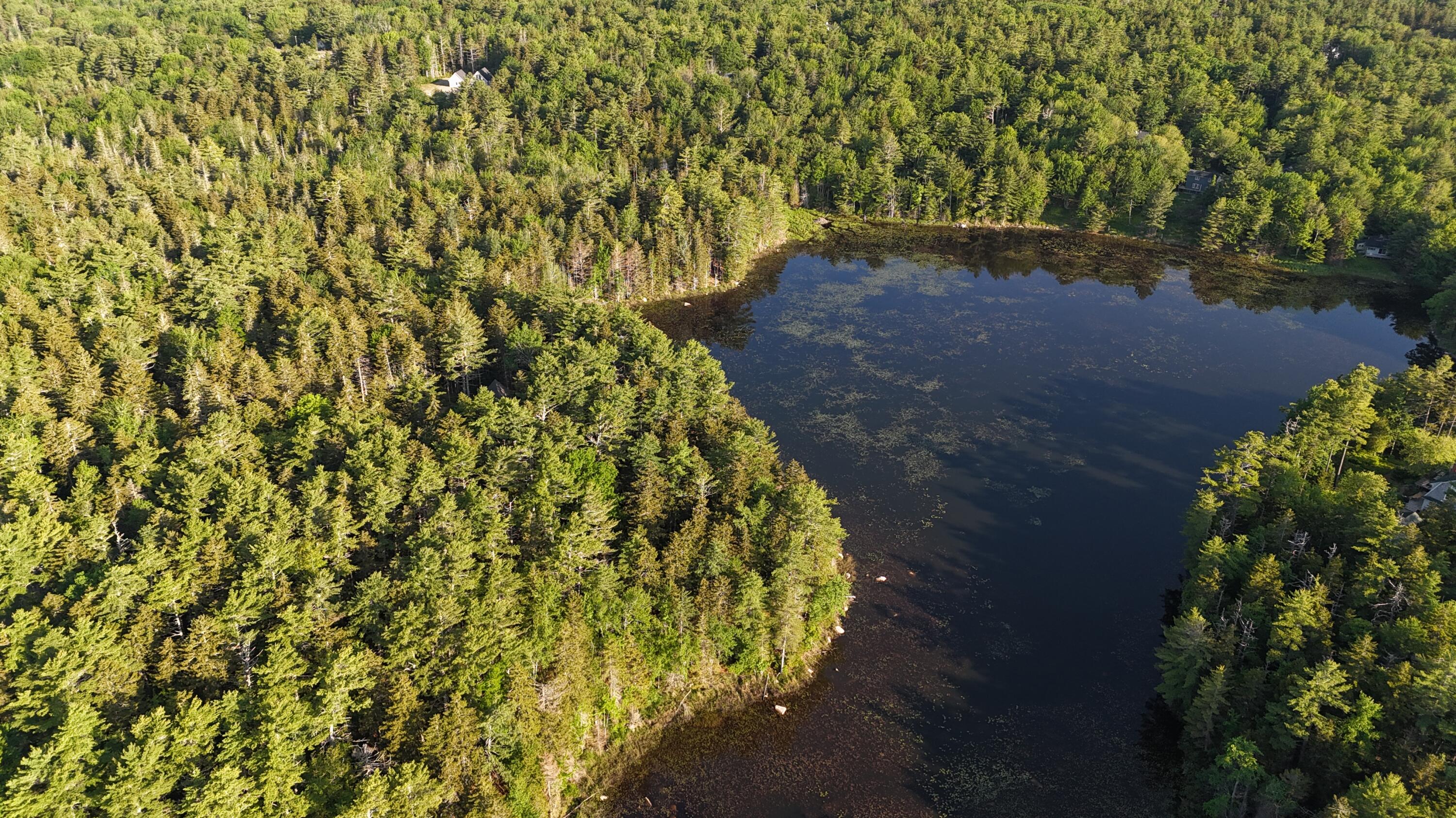 0 Red Spruce Way Mount Mount Desert, ME 04660 - Photo 7 of 18 DJI_20250621065634_0005_D
