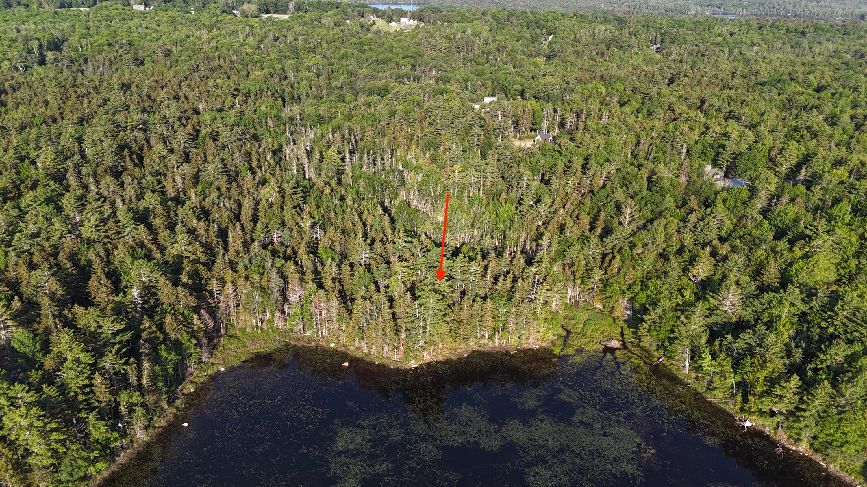 0 Red Spruce Way Mount Mount Desert, ME 04660 - Photo 8 of 18 DJI_20250621070017_0019_D