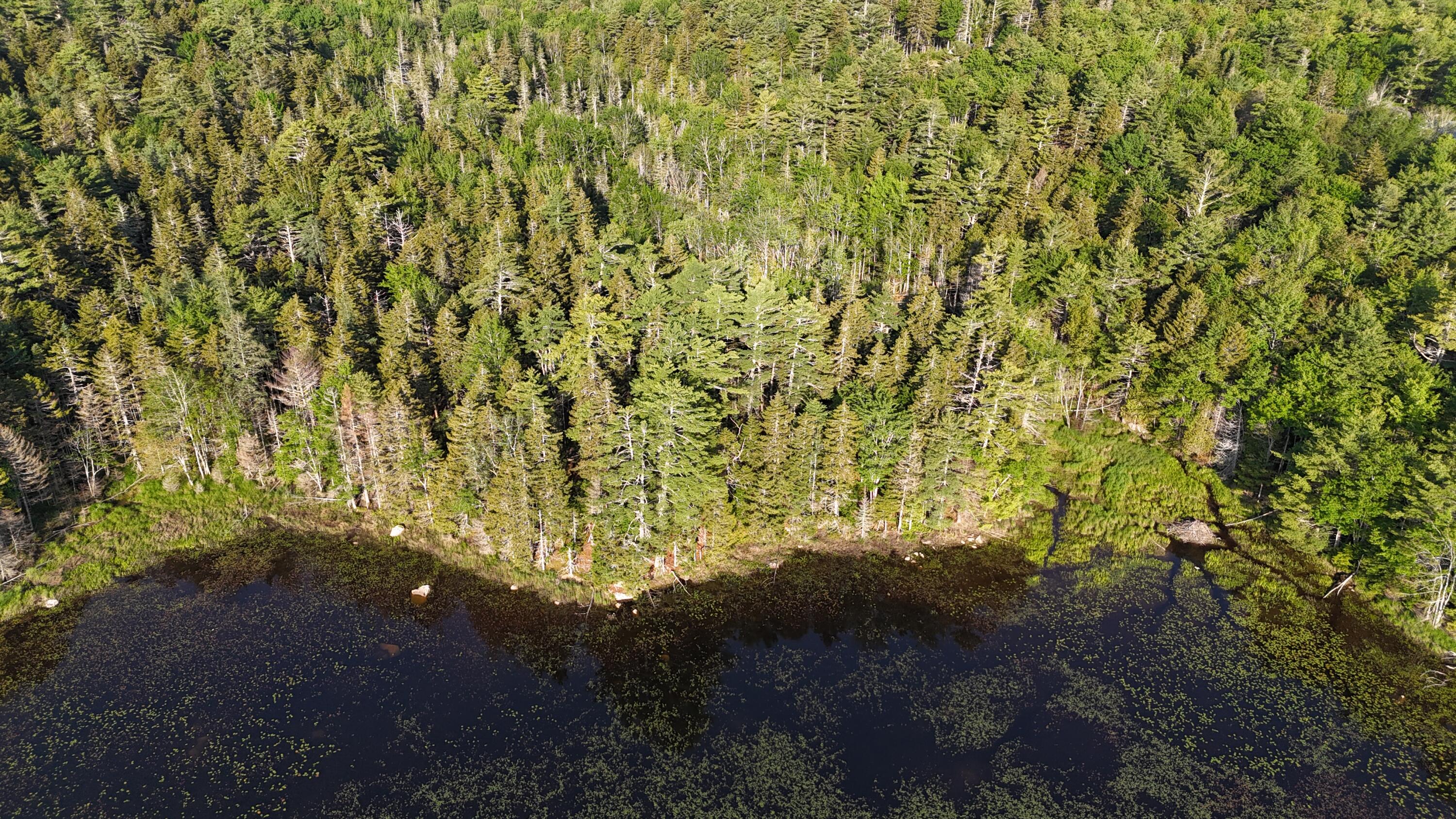 0 Red Spruce Way Mount Mount Desert, ME 04660 - Photo 10 of 18 DJI_20250621070114_0024_D