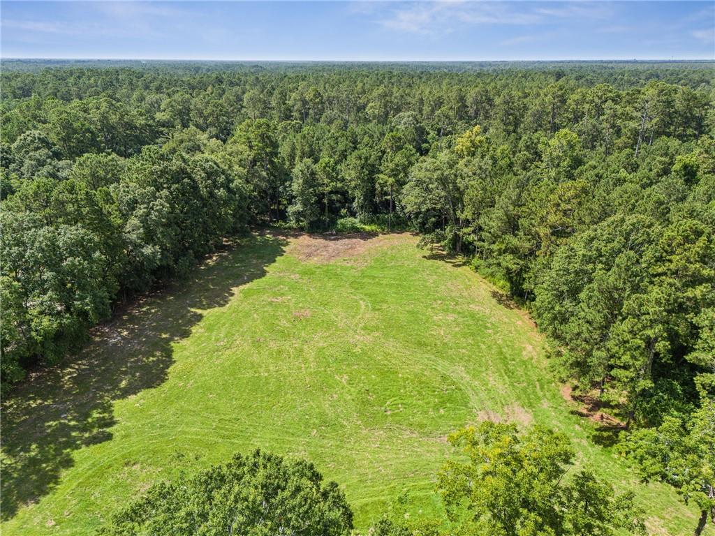 23160 Lowe Davis Road Covington, LA 70435 - Photo 49 of 49