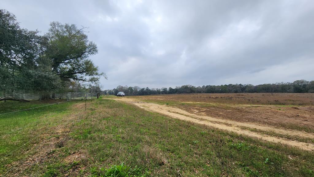 3161 Cedar Springs Road Ashford, AL 36312 - Photo 13 of 16