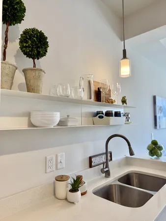 a kitchen with a sink and a potted plant