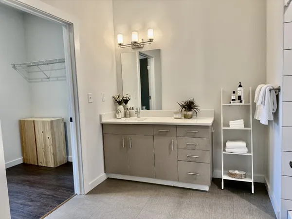 a bathroom with a double vanity sink a mirror and a shower