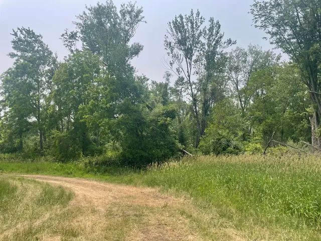 $599,900 | Dunks Road, Sherwood, MI 49089