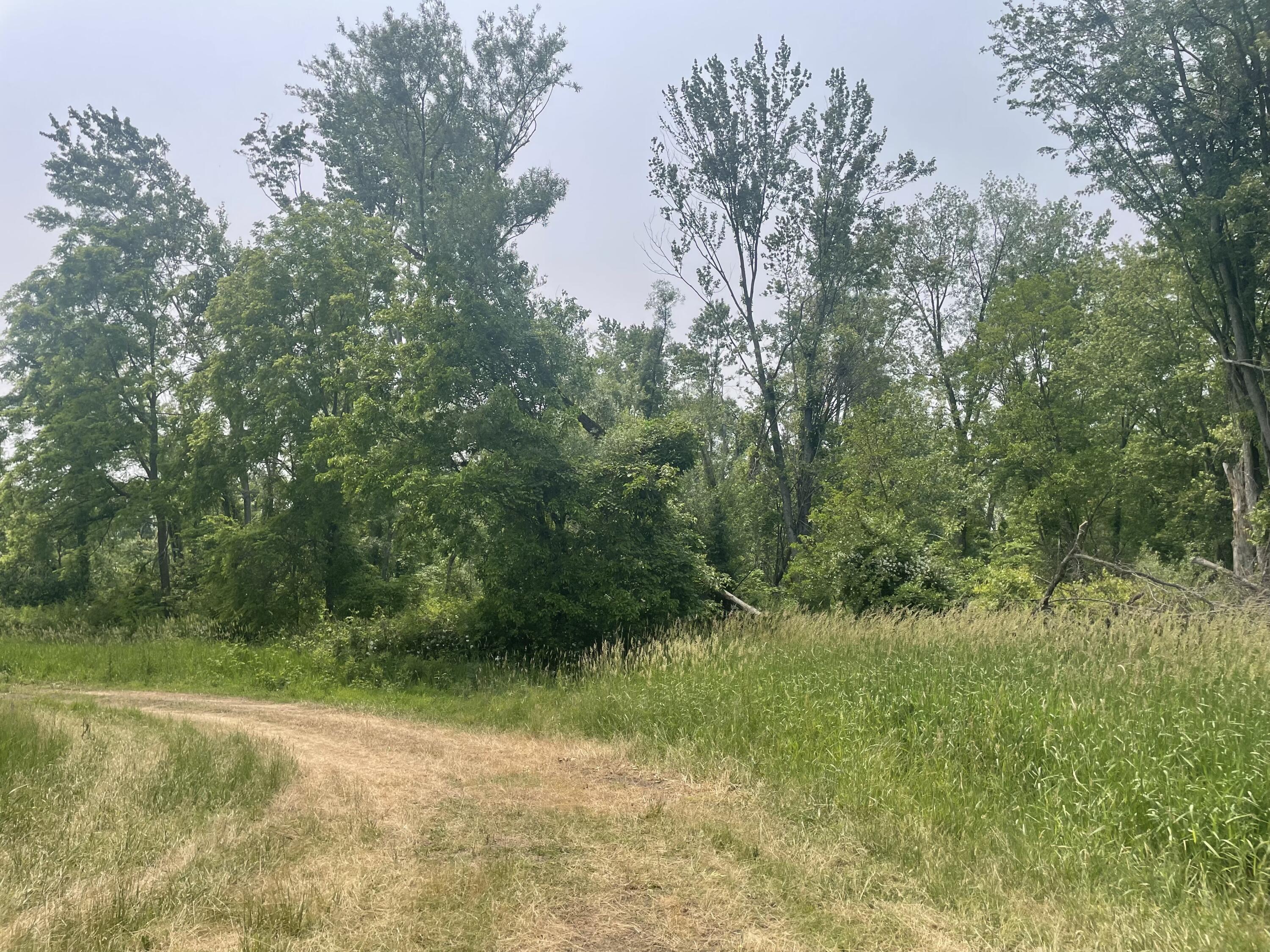 Dunks Road Sherwood, MI 49089 - Photo 5 of 9 IMG_1026