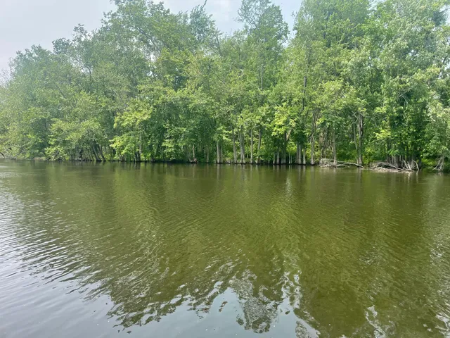 $599,900 | Dunks Road, Sherwood, MI 49089