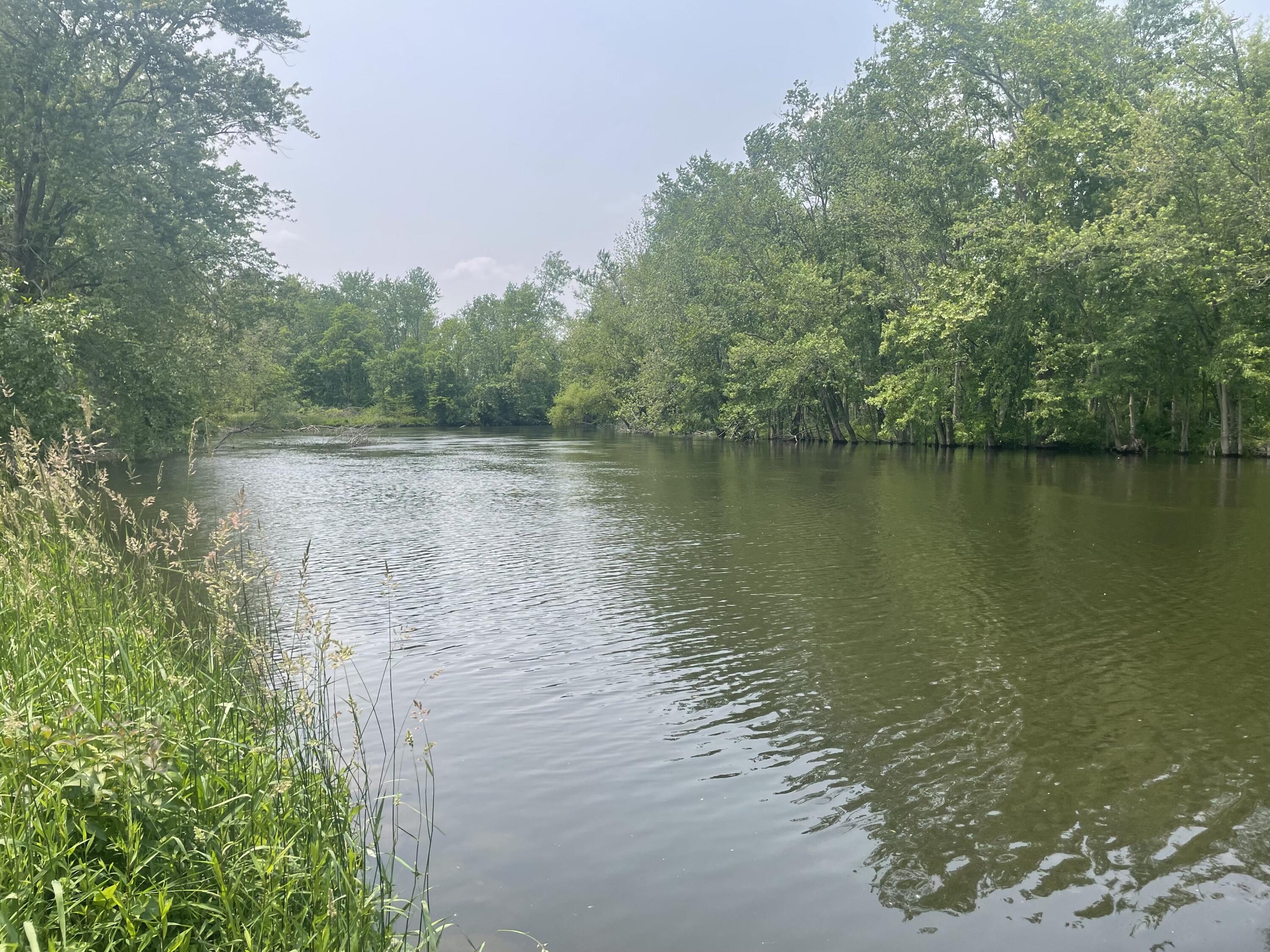 Dunks Road Sherwood, MI 49089 - Photo 8 of 9 IMG_1023