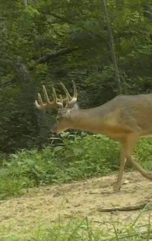 $599,900 | Dunks Road, Sherwood, MI 49089