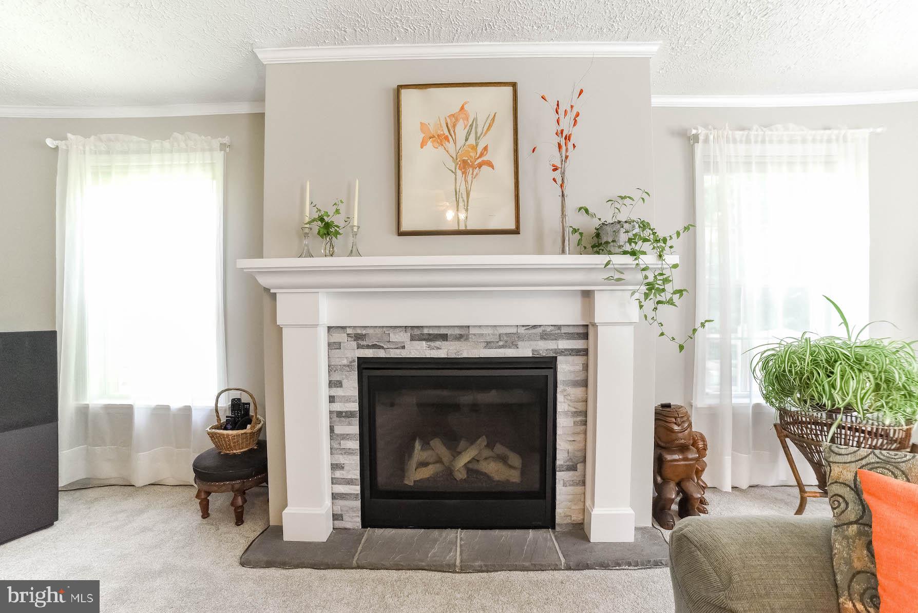 22571 Bull Road Leonardtown, MD 20650 - Photo 18 of 67 New Gas Fireplace