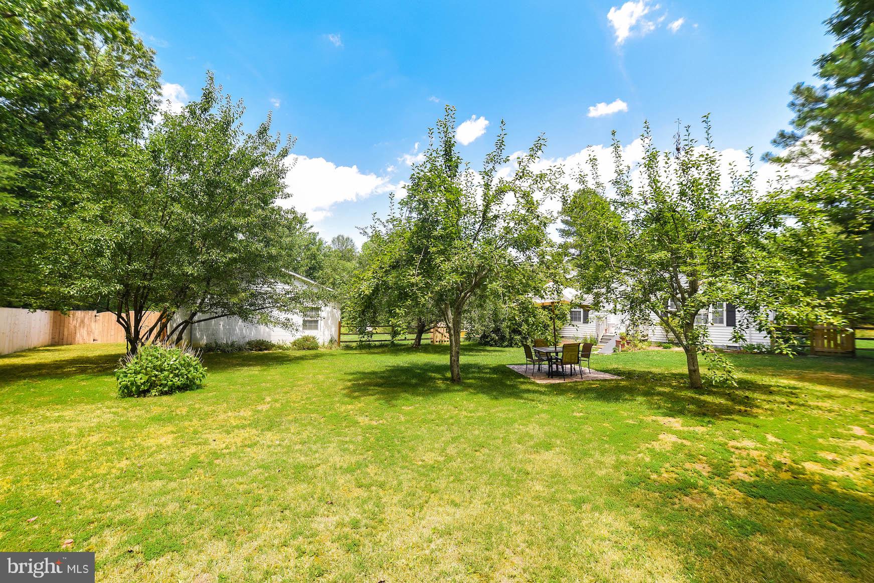 22571 Bull Road Leonardtown, MD 20650 - Photo 56 of 67 Numerous Fruit Trees and Plenty of Garden Space!