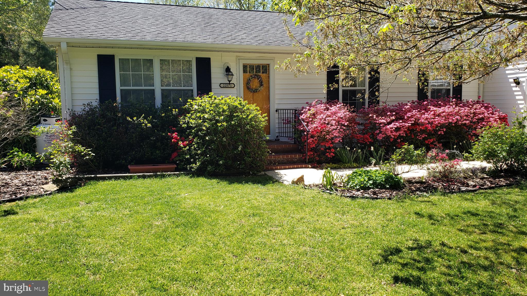 22571 Bull Road Leonardtown, MD 20650 - Photo 59 of 67 Spring Time Photos
