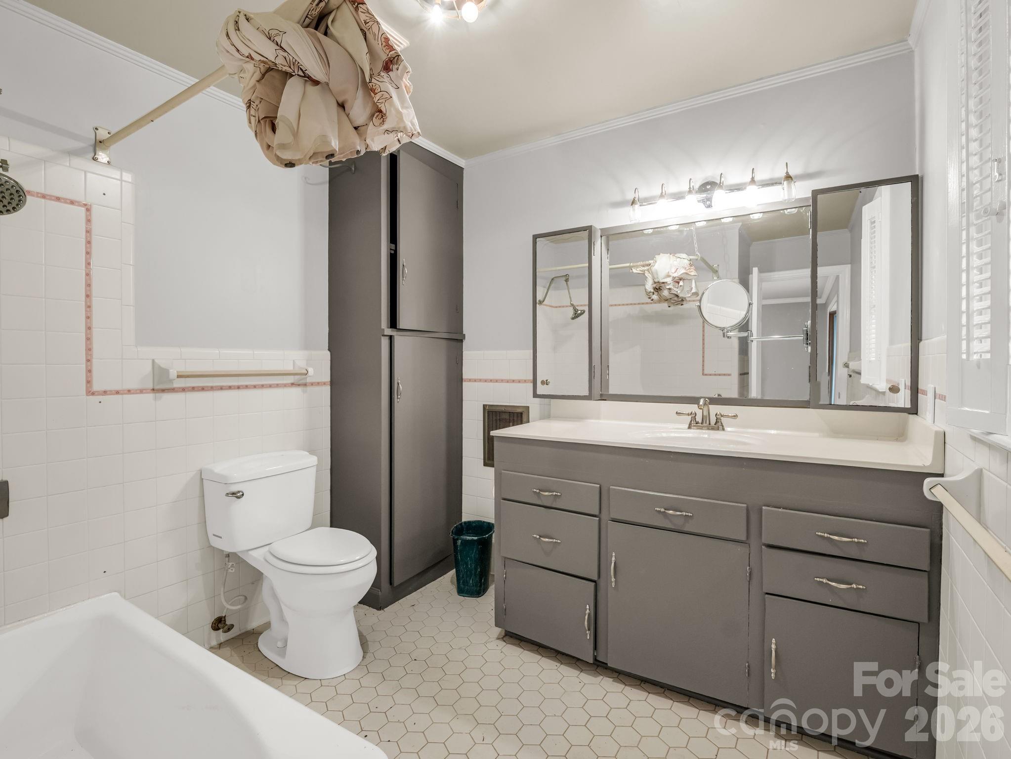 117 Hummingbird Lane Columbus, NC 28722 - Photo 20 of 32 a bathroom with a toilet a sink and mirror