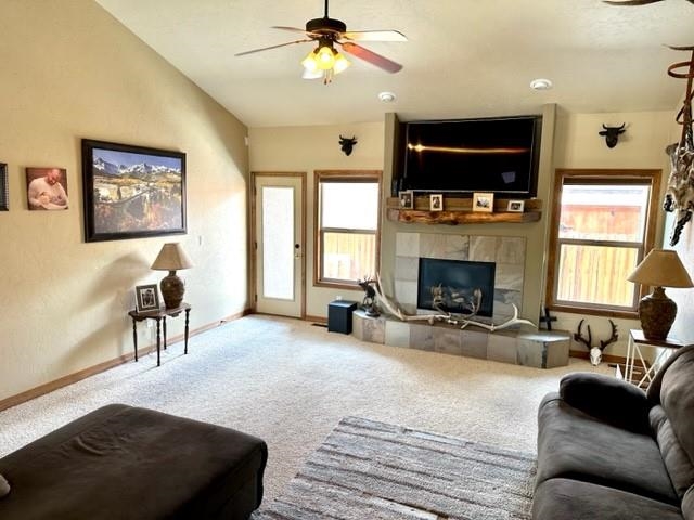 800 Esprit Lane Fruita, CO 81521 - Photo 7 of 38 a living room with furniture a flat screen tv and a fireplace
