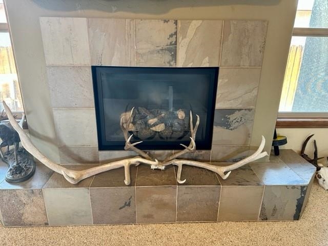 800 Esprit Lane Fruita, CO 81521 - Photo 9 of 38 a room with table and chairs