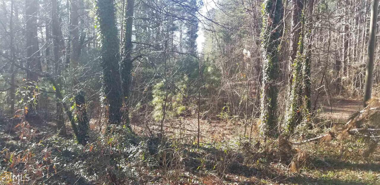 361 Old Corinth Road Bremen, GA 30110 - Photo 1 of 1 Gallery Image 1