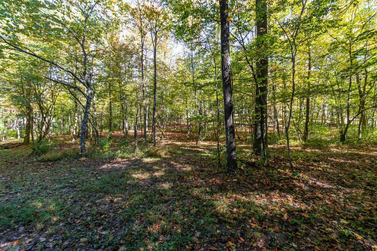 10654 East Dobson Road Bloomfield, IN 47424 - Photo 33 of 35