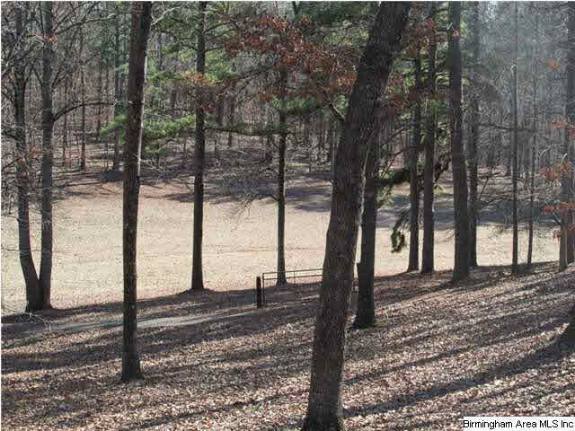 596 Signal Valley Trail Chelsea, AL 35043 - Photo 27 of 30