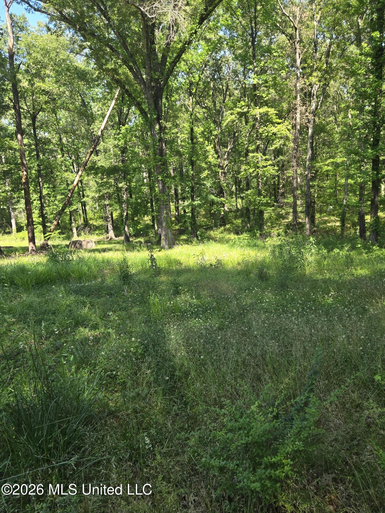 8300 Springridge Road Terry, MS 39170 - Photo 11 of 29 8300 Springridge Road, Terry - 10