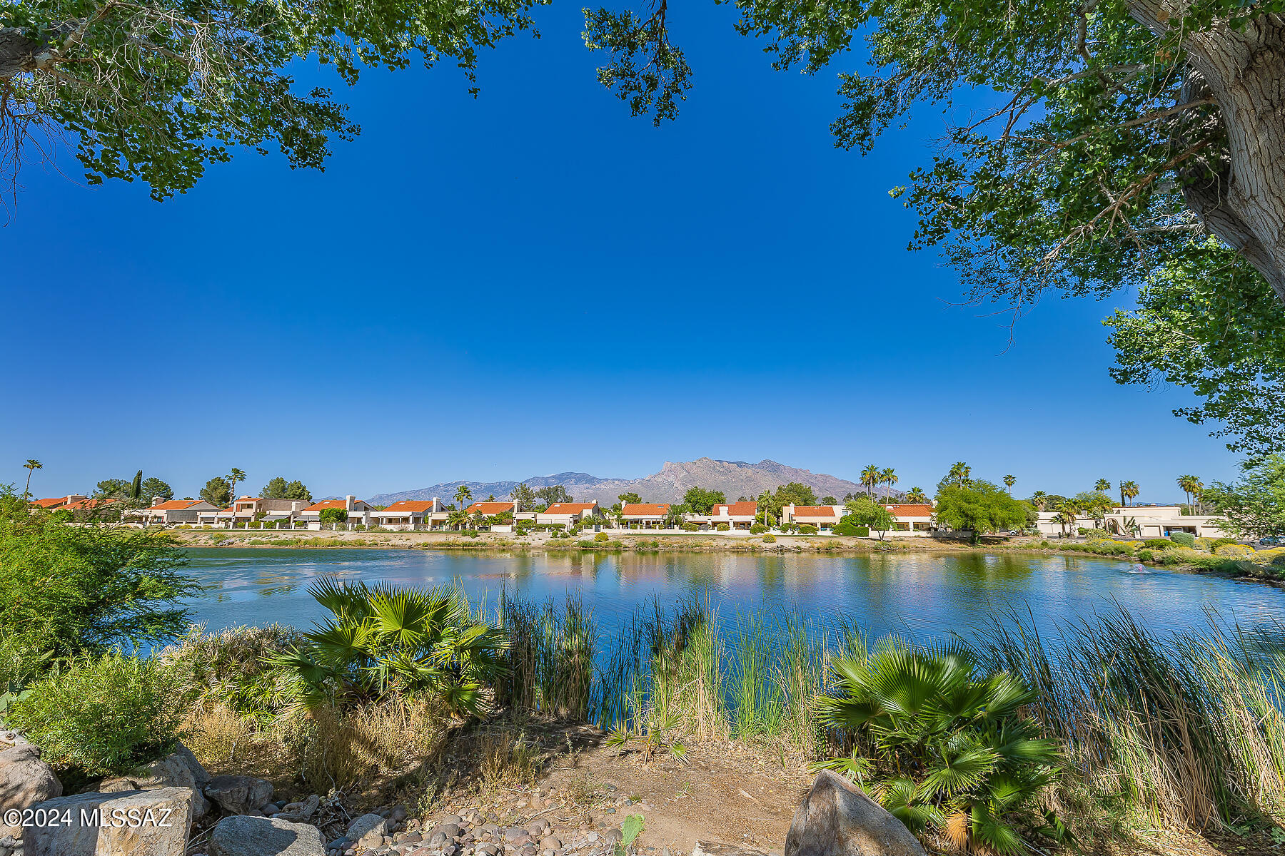 8526 North Gaetano Loop Tucson, AZ 85742 - Photo 48 of 49