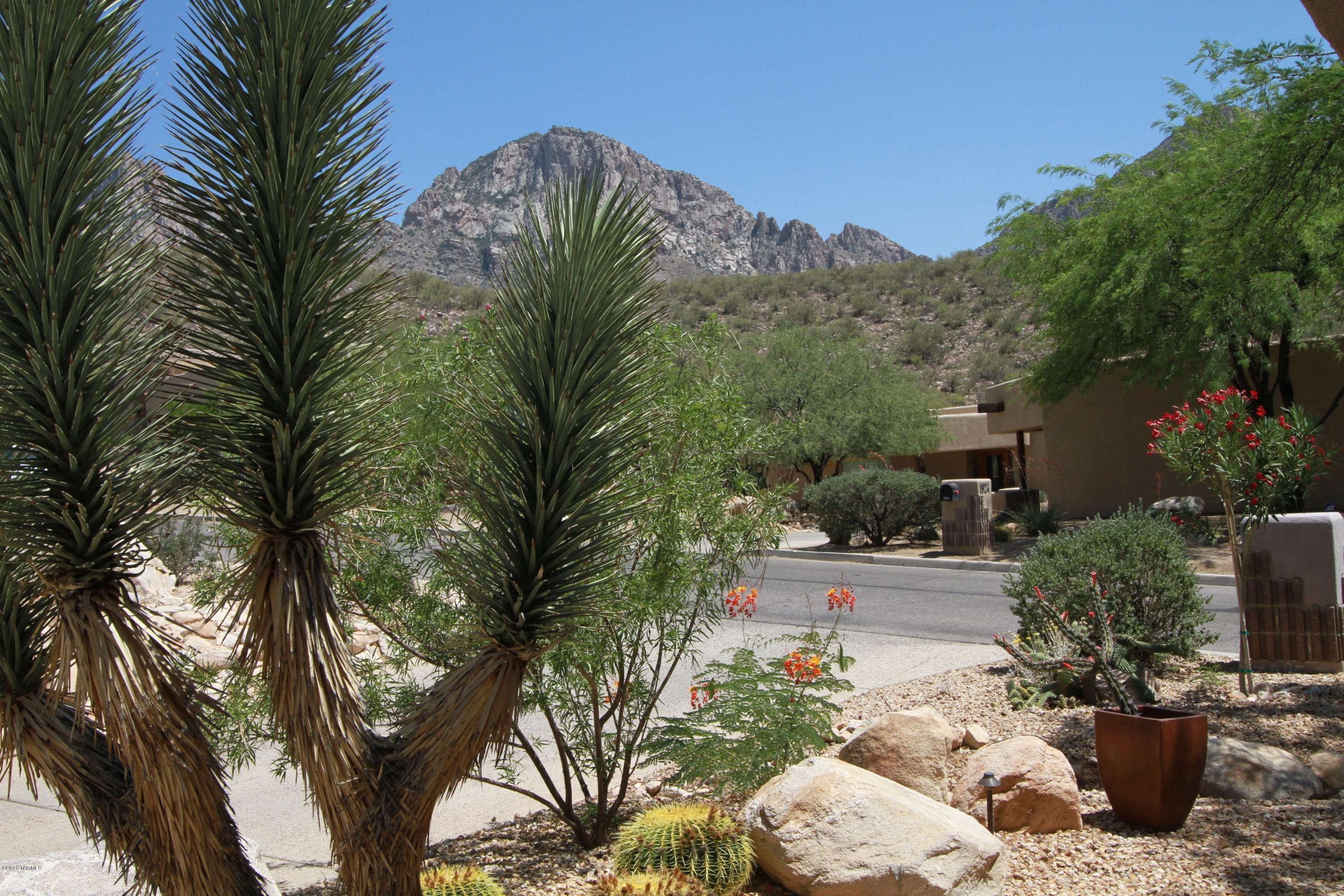 1909 East Buck Ridge Place Tucson, AZ 85737 - Photo 2 of 44