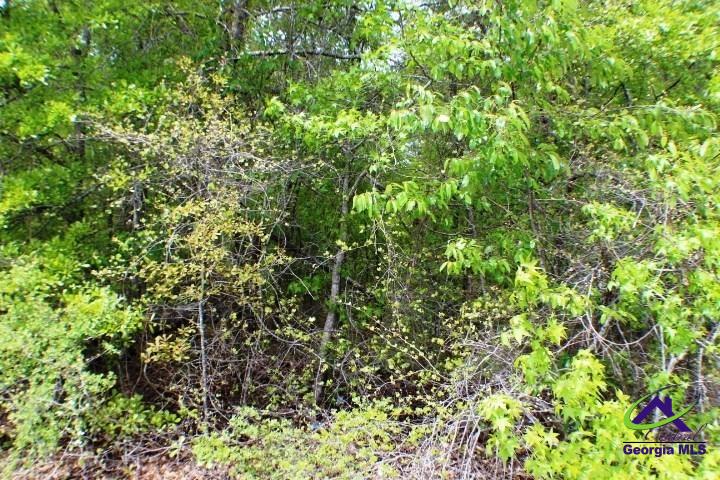 Lot 14 Payne Road Rentz, GA 31075 - Photo 6 of 8