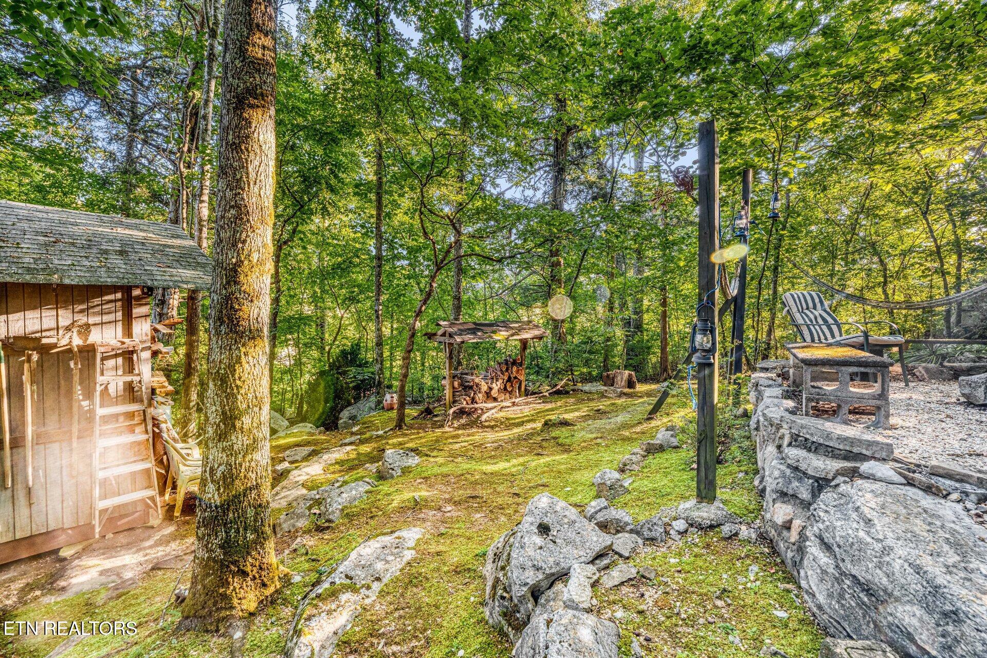 733 Cavern Road Townsend, TN 37882 - Photo 45 of 53 photo_058