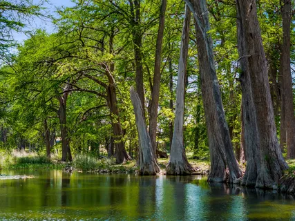 $4,950,000 | 4292 Highway 83, Leakey, TX 78873