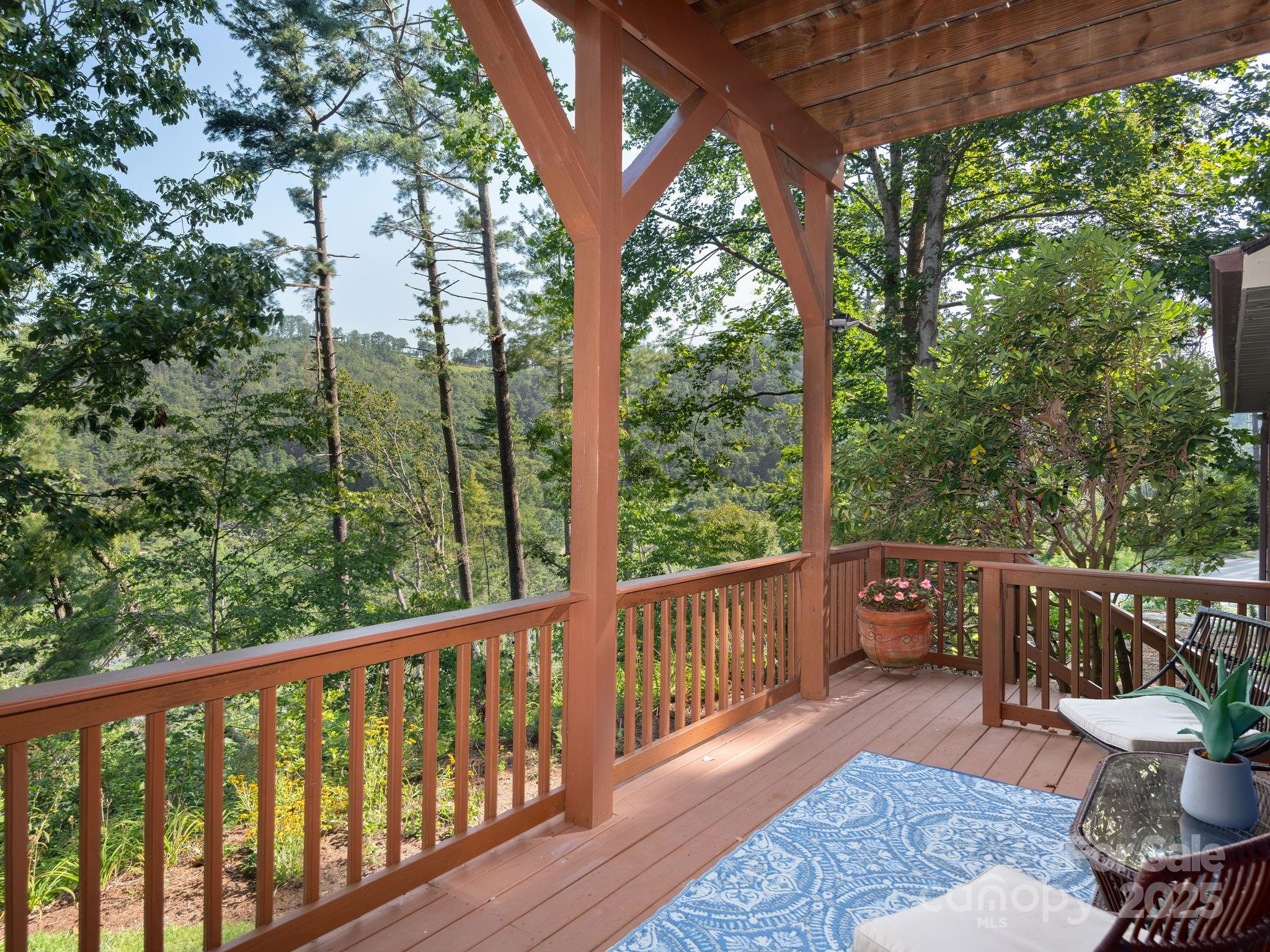 12 Sunny Ridge Drive Asheville, NC 28804 - Photo 30 of 37