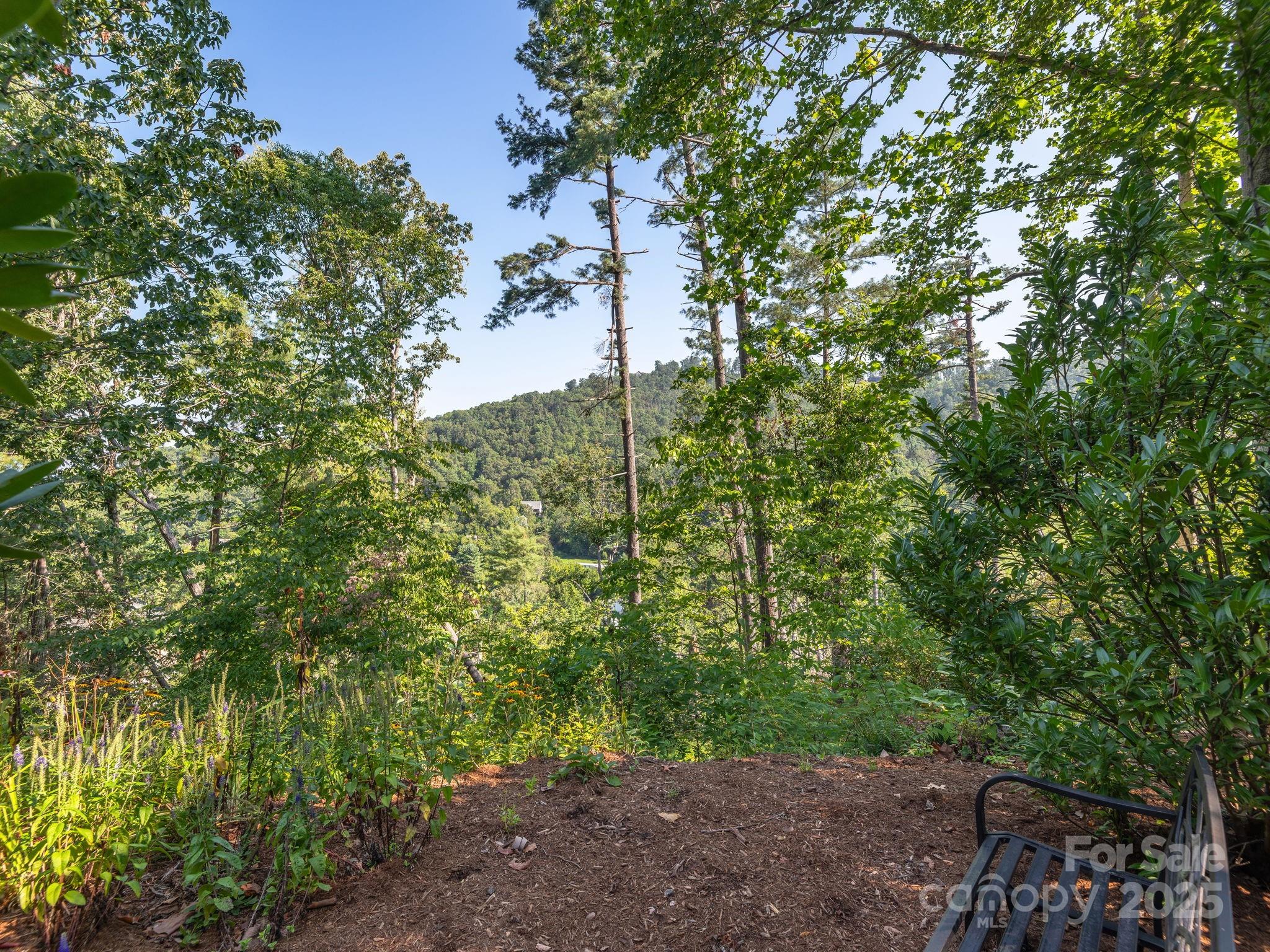 12 Sunny Ridge Drive Asheville, NC 28804 - Photo 32 of 37