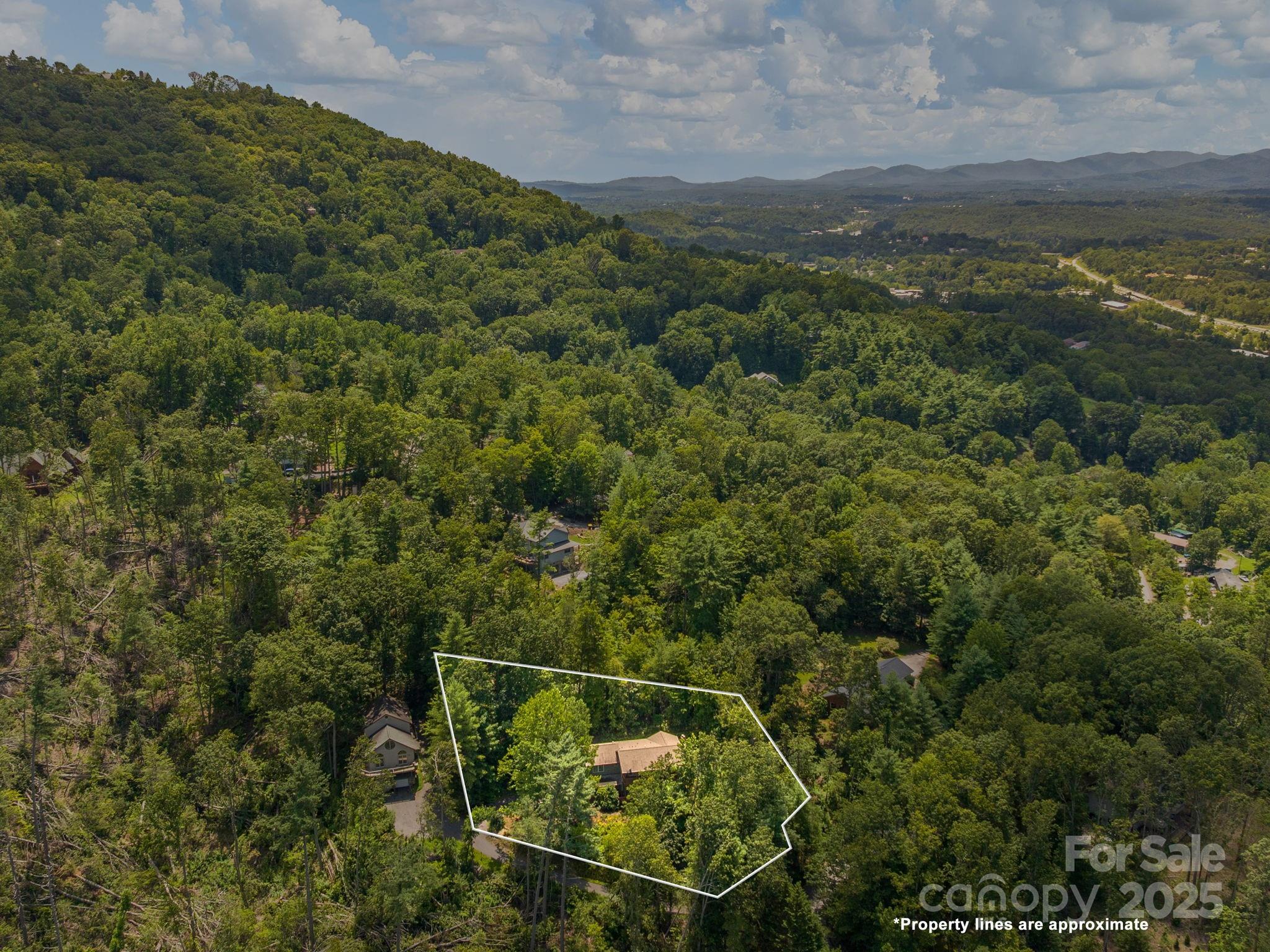 12 Sunny Ridge Drive Asheville, NC 28804 - Photo 37 of 37