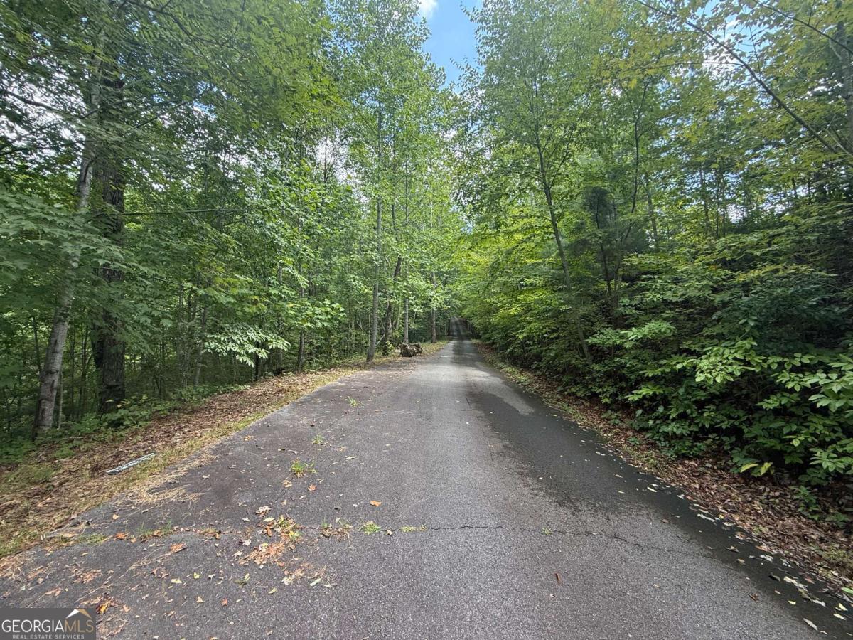 0 Bethabara View, Unit 11 Hayesville, NC 28904 - Photo 2 of 10 a view of a plants and trees in the background
