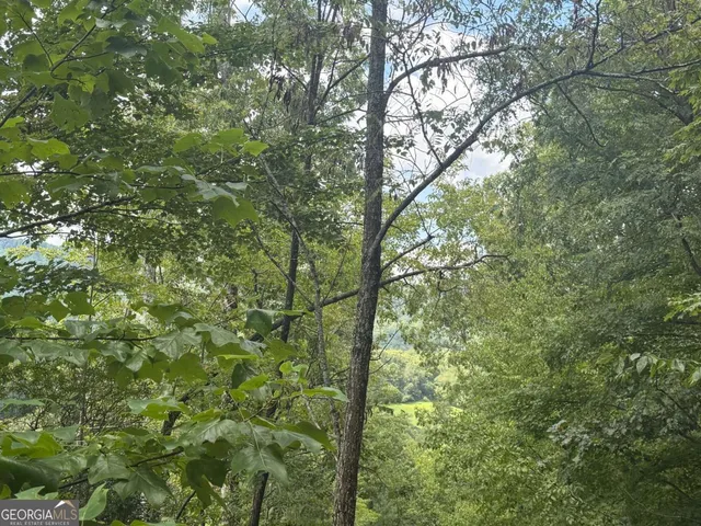 a view of a yard with a tree