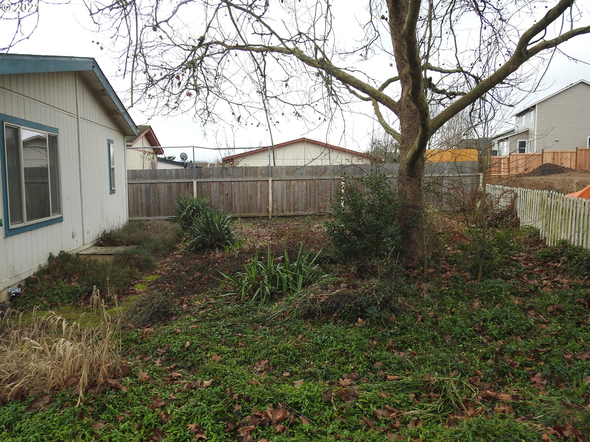 1052 South 58th Street Springfield, OR 97478 - Photo 22 of 24