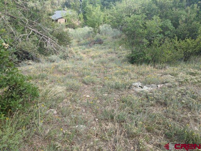 755 Animas View Drive Durango, CO 81301 - Photo 4 of 4