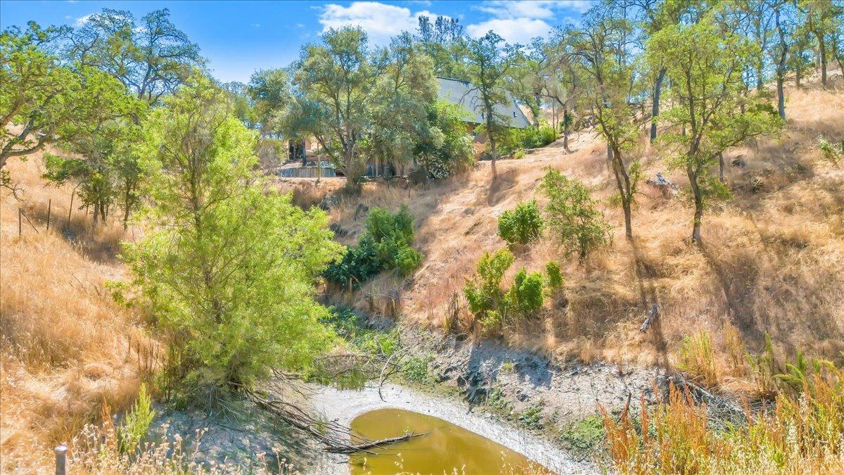 1499 Sawmill Road, Unit 594 Copperopolis, CA 95228 - Photo 61 of 98 A seasonal pond fed by a seasonal creek that runs through the property.