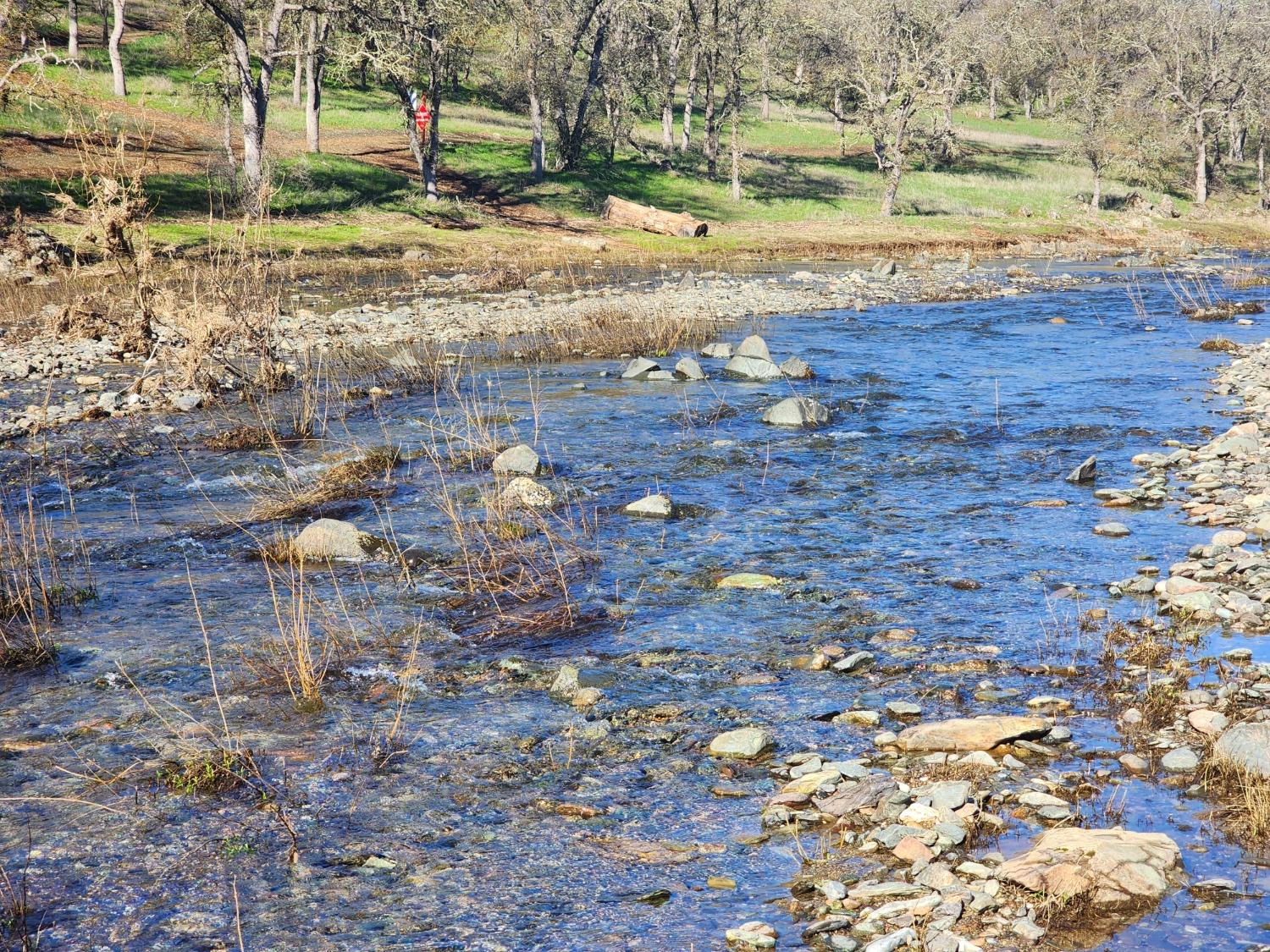 1499 Sawmill Road, Unit 594 Copperopolis, CA 95228 - Photo 81 of 98 Seasonal Black Creek is beautiful to see!