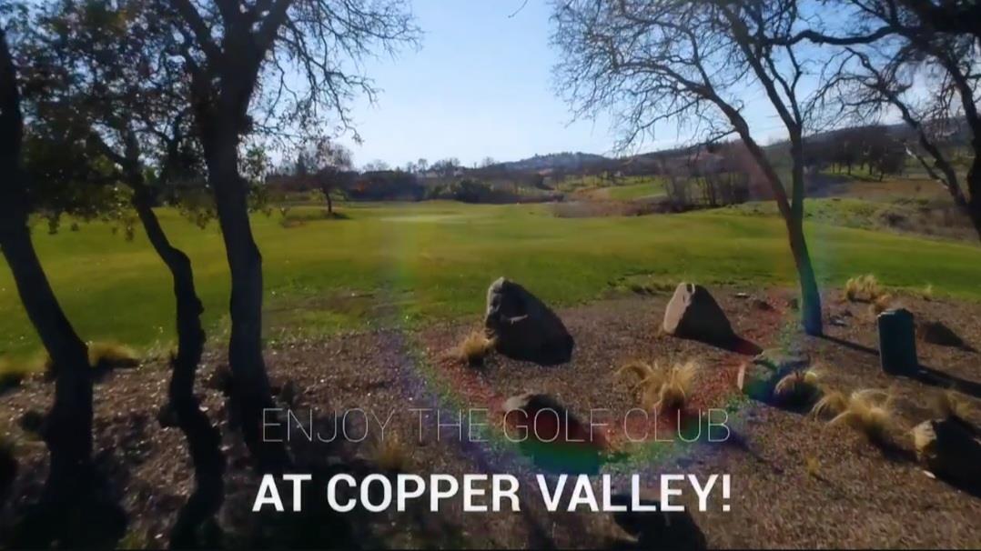 1499 Sawmill Road, Unit 594 Copperopolis, CA 95228 - Photo 89 of 98