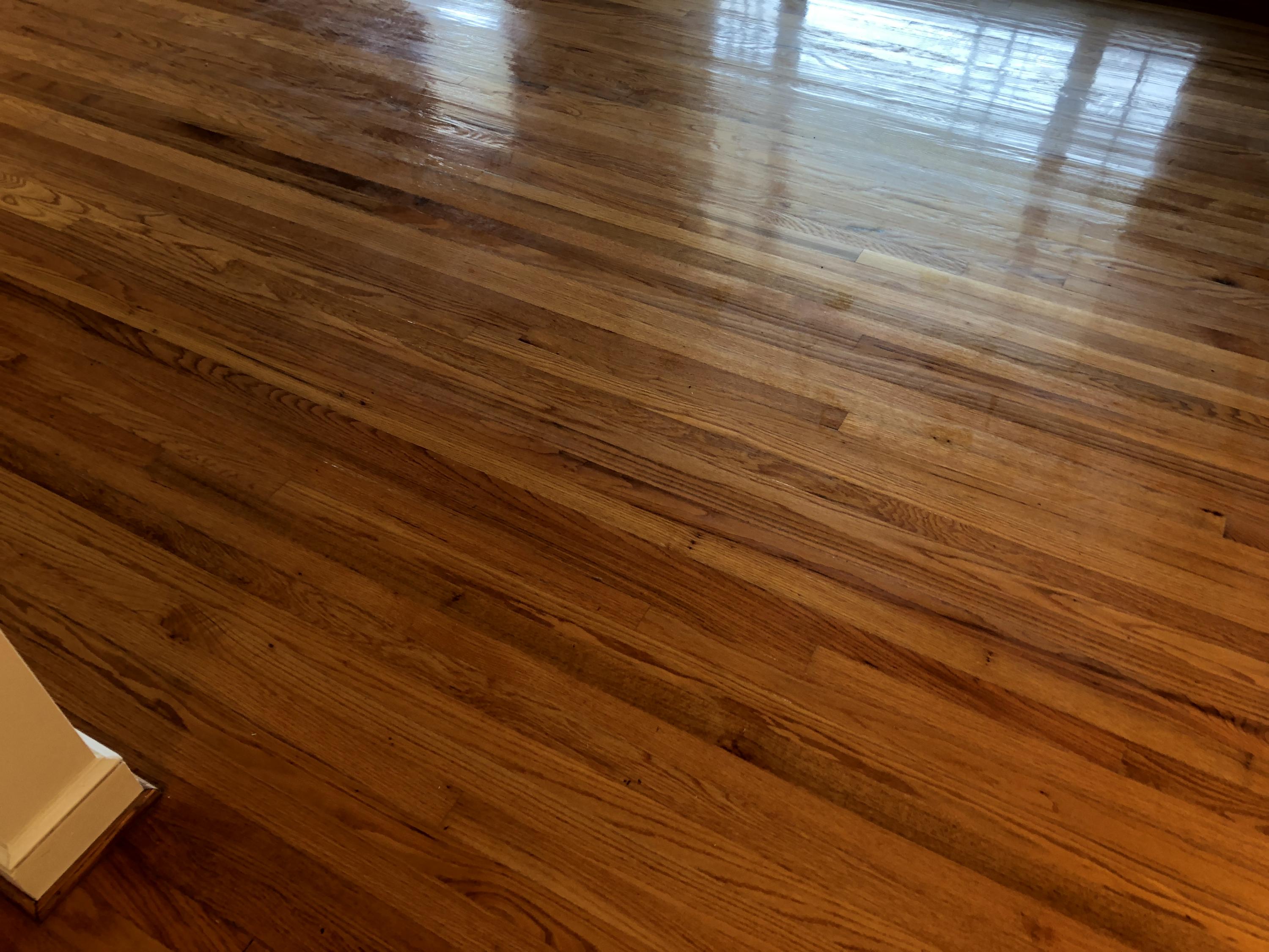 7 Sheridan Road Charleston, SC 29407 - Photo 11 of 24 Beautiful Floors