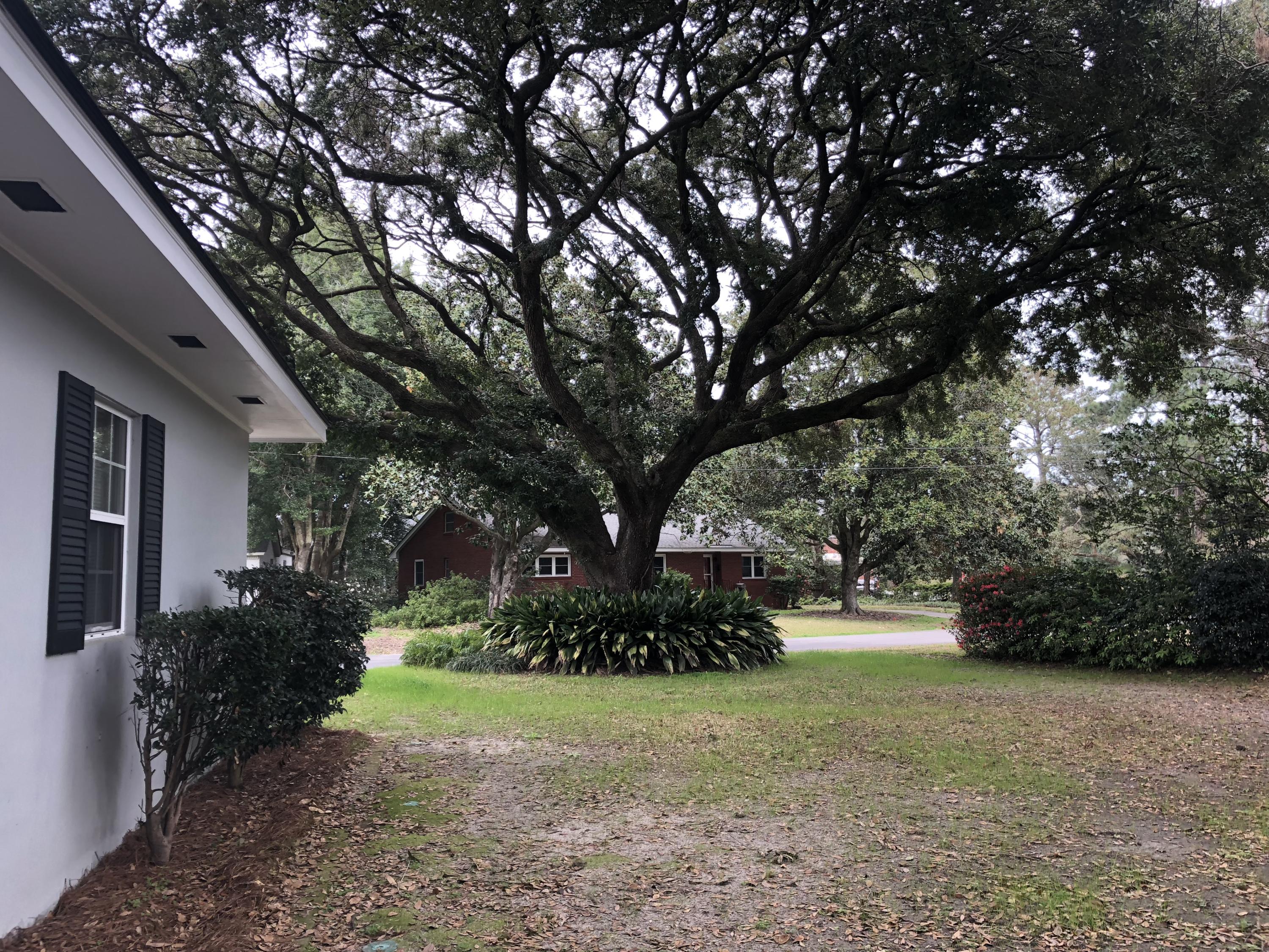 7 Sheridan Road Charleston, SC 29407 - Photo 18 of 24 7 Sheridan side yard