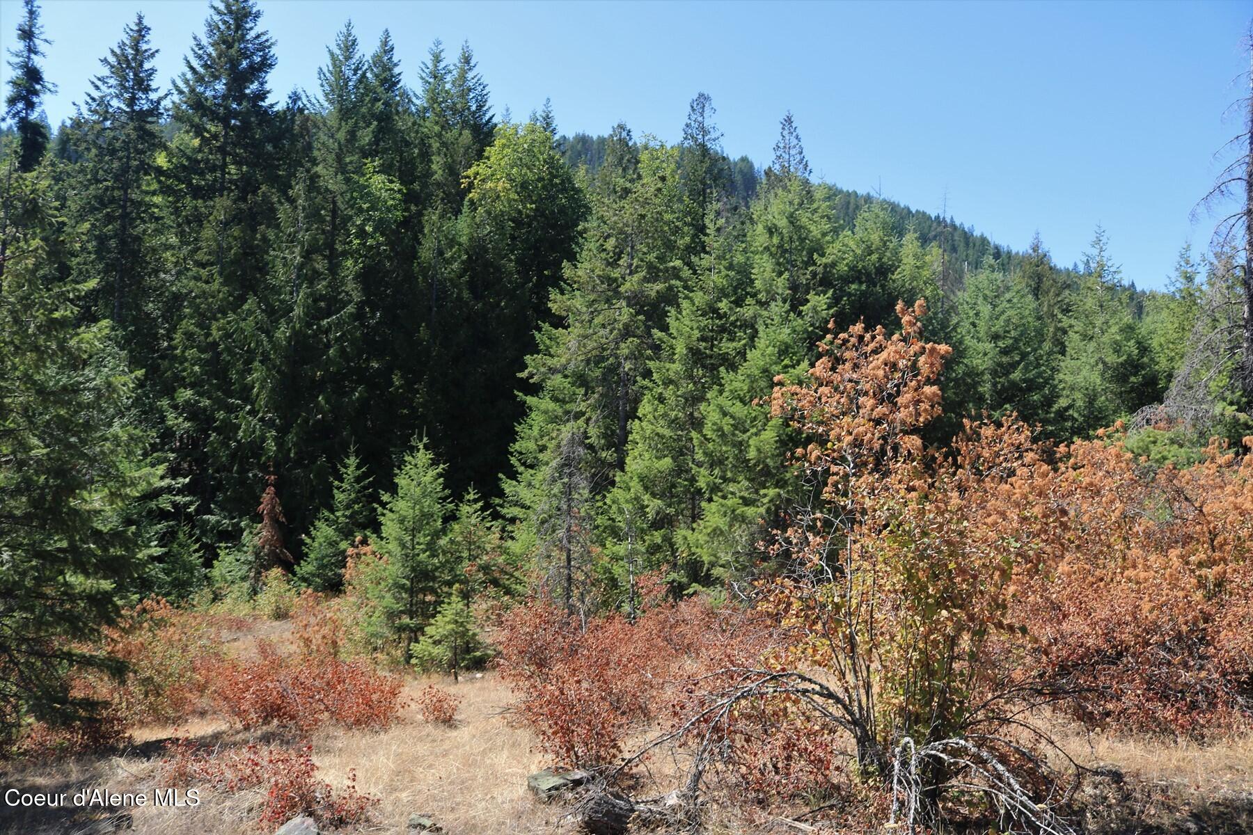 700 Outlook Road Cocolalla, ID 83813 - Photo 21 of 32 _IMG_6489