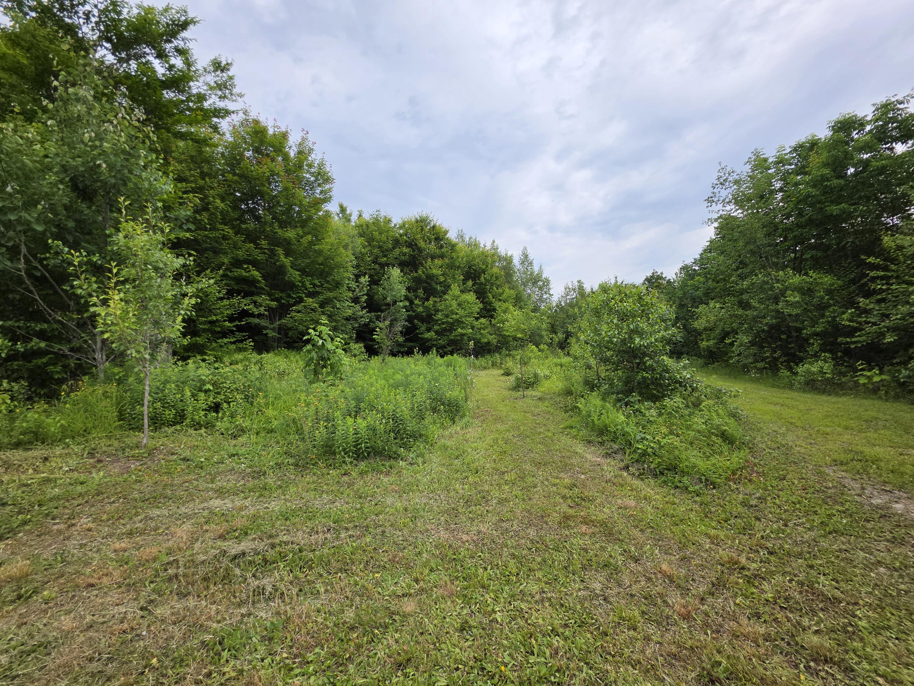 Lot 30 Rosewood Haven Springfield, ME 04487 - Photo 21 of 25 20250626_093449