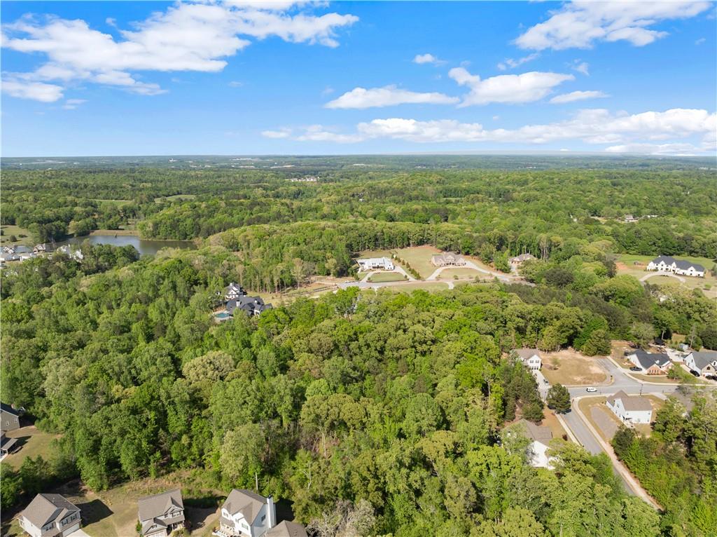 373 Fortress Way Jefferson, GA 30549 - Photo 110 of 118 an aerial view of residential houses with outdoor space and trees