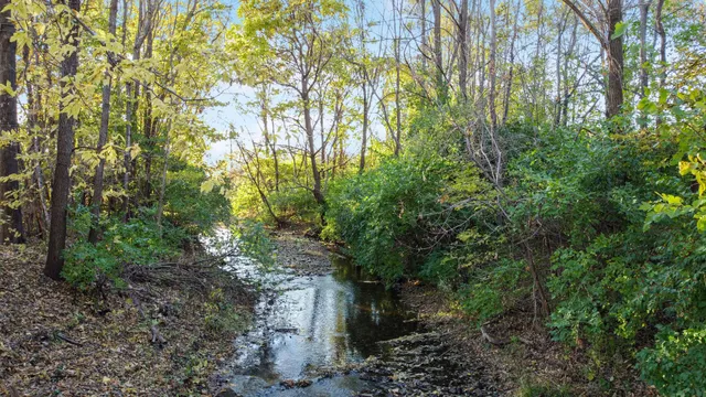 a backyard of a house with lots of green space and garden