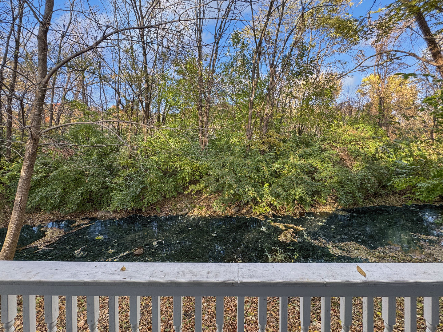 200 East Grove Street Utica, IL 61373 - Photo 34 of 41 a view of a yard