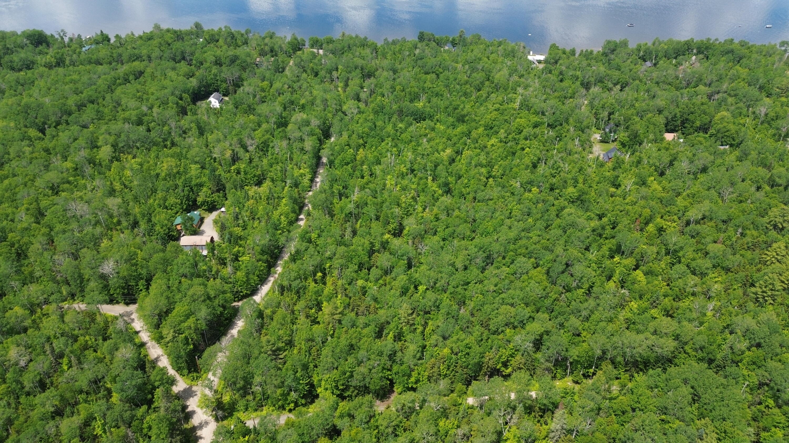 Lot 9 Moose Road Oquossoc, ME 04964 - Photo 2 of 5 Looking toward Mooselook