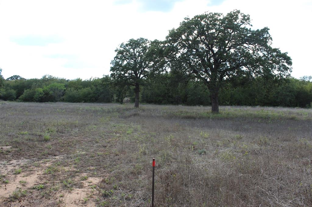 4996 State Highway South Graham, TX 76450 - Photo 9 of 14 View of yard featuring a view of rural / pastoral area