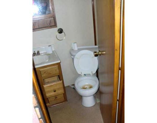 23565 Rust Road New Boston, MI 48164 - Photo 3 of 6 Photo 3